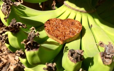Bananenbrood met meelwormen