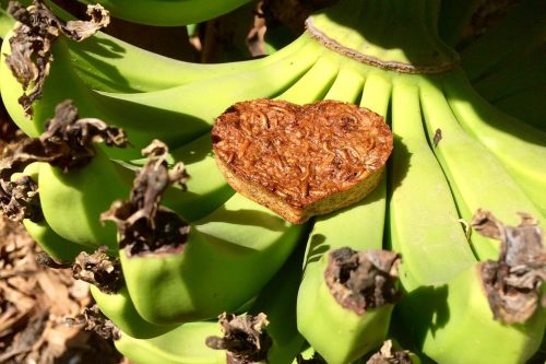 Bananenbrood Bananenbrood met meelwormen
