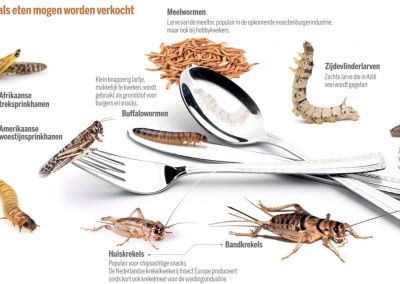 Novel Food regels voor insecten (deel 1)