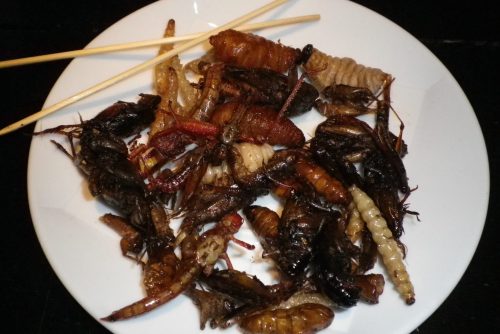 Bord met gegrilde insecten Bord met gegrilde insecten
