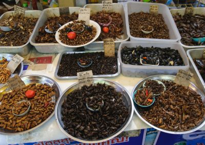 Het effect van informatie op het eten van insecten