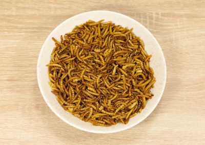 Meelwormen zijn goedgekeurd voor humane voeding!